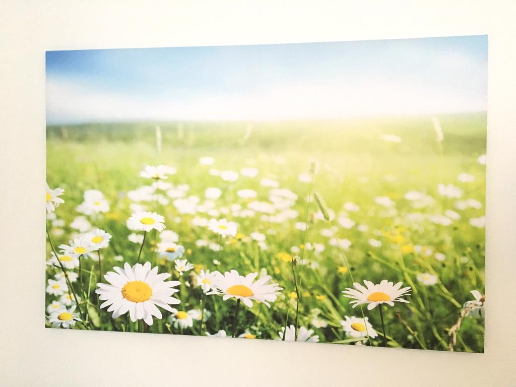 Apartment Flowerside Ratisbona Esterno foto