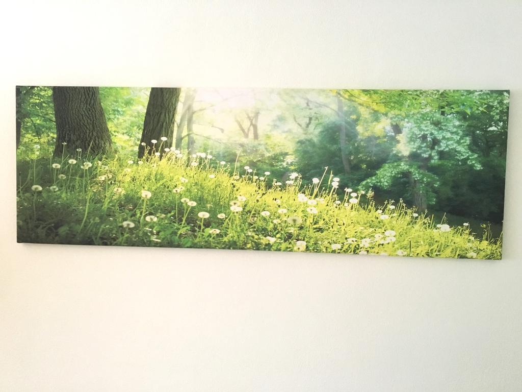 Apartment Flowerside Ratisbona Esterno foto